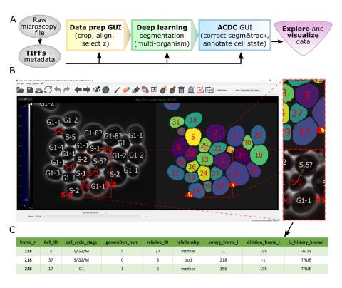 Schematic overview of pipeline and GUI