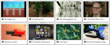 Image Gallery Example